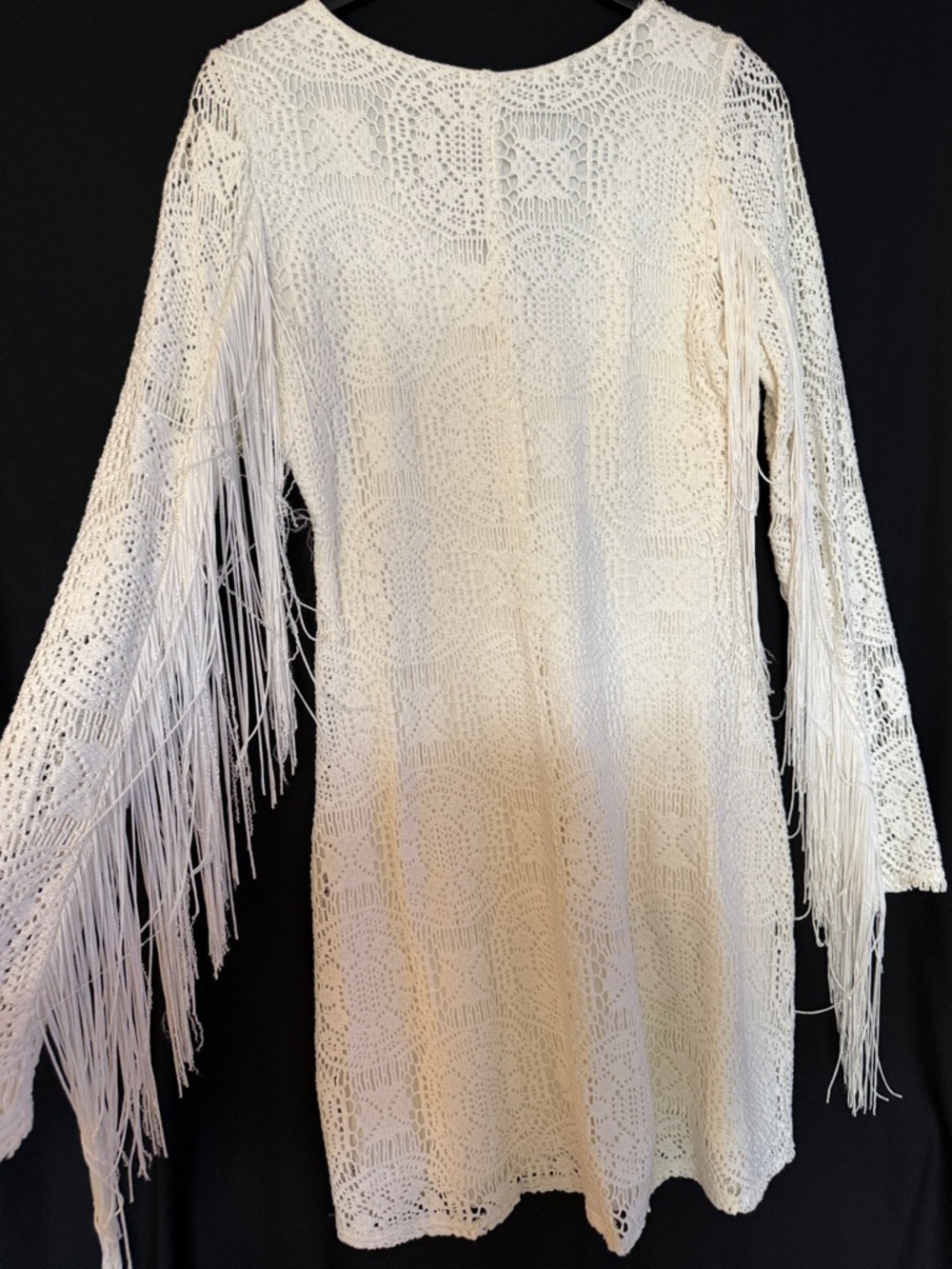 Idyllwind White Crochet Fringe V-Neck Long-Sleeve Dress - Picture 4 of 4